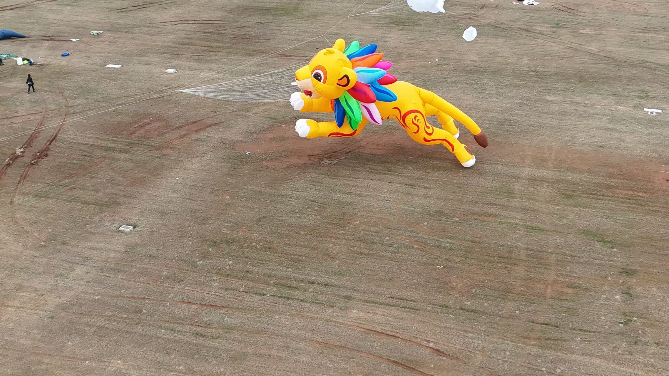 四平市品牌风筝定制风筝DIY - 厂家